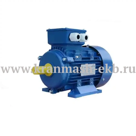 Электродвигатель АИР 200 L4 (45 кВт 1500 об/мин)